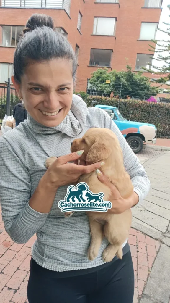 Clienta recibe a su cachorro Golden Retriever en la puerta de su casa