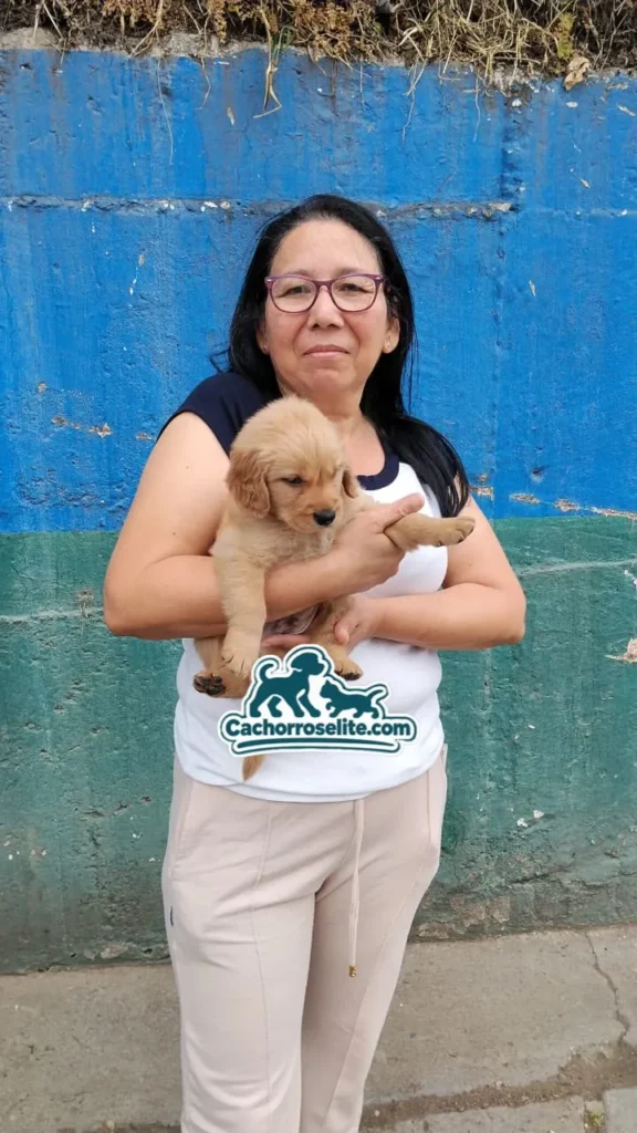Clienta sostiene a su cachorro Golden Retriever recién entregado