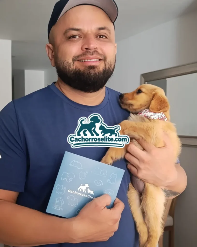 Cliente recibe a su cachorro Golden Retriever con pañoleta y guía de cuidados