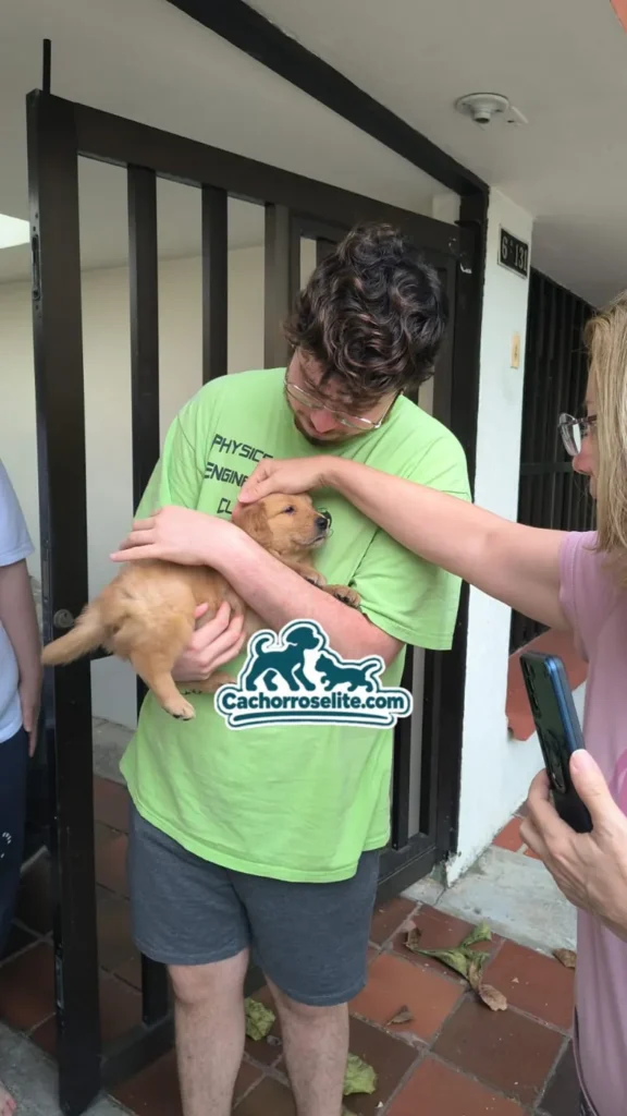 Familia recibe a su cachorro Golden Retriever en la puerta de su casa