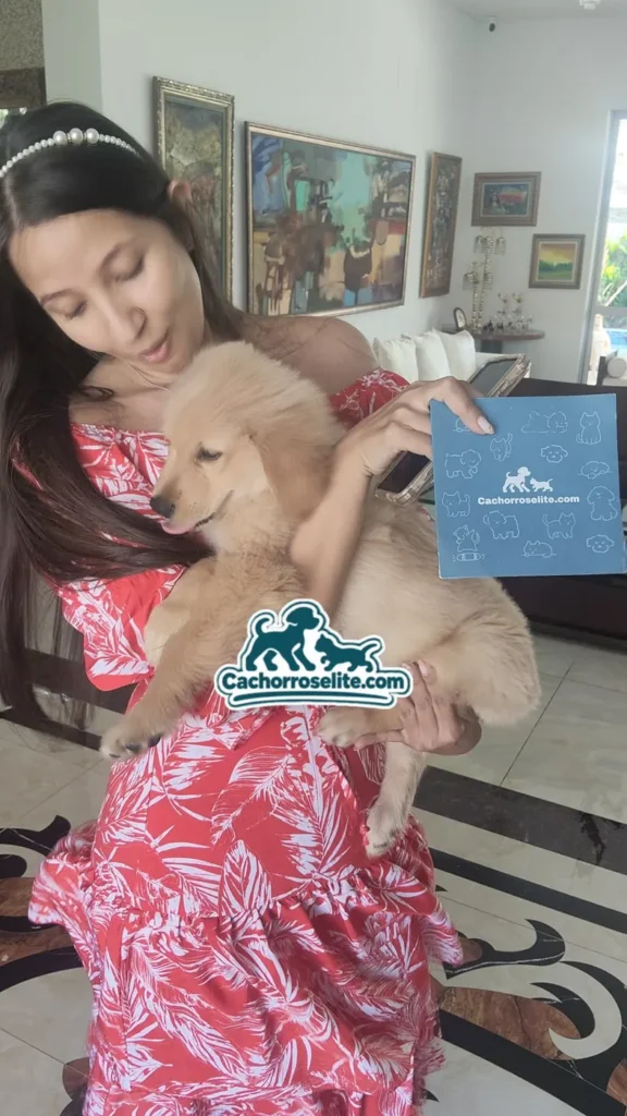Clienta abraza a su cachorro Golden Retriever con su guía de bienvenida